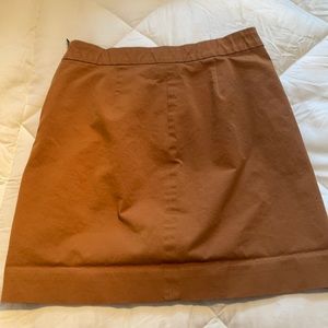 Everlane Skirt